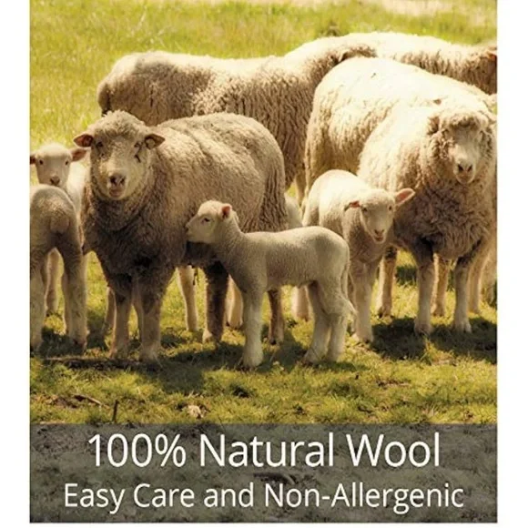 Chandler 4 corners wool hooked pillow with insert - Picture 9 of 12